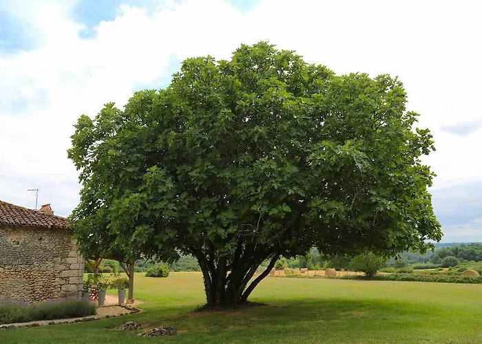 Bed and breakfast Boutique 4*